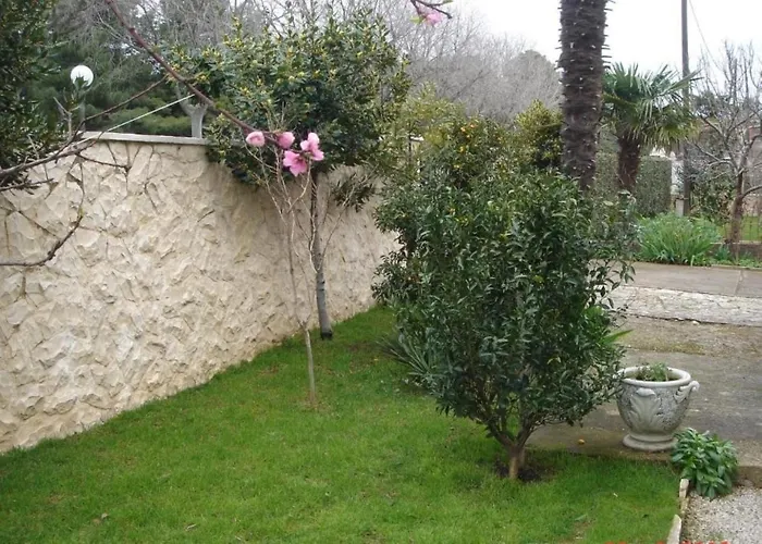 Aurora Borik 아파트 *